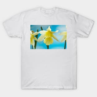 Narcissus  &#39;W.P. Milner&#39;   Division 1  Trumpet  Daffodil T-Shirt